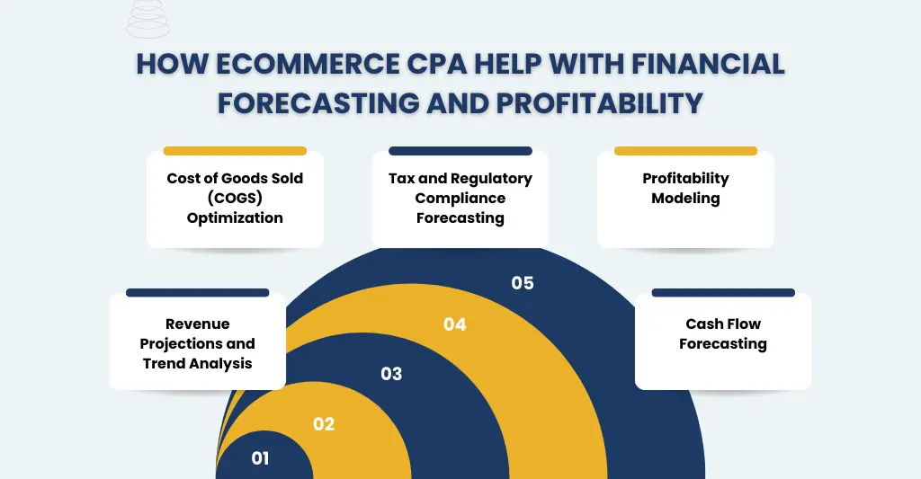 Financial Forecasting and Profitability Insights from eCommerce CPAs